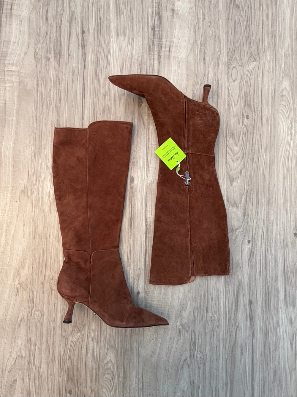 Sam Edelman Taylin Pointed Toe Knee High Boot